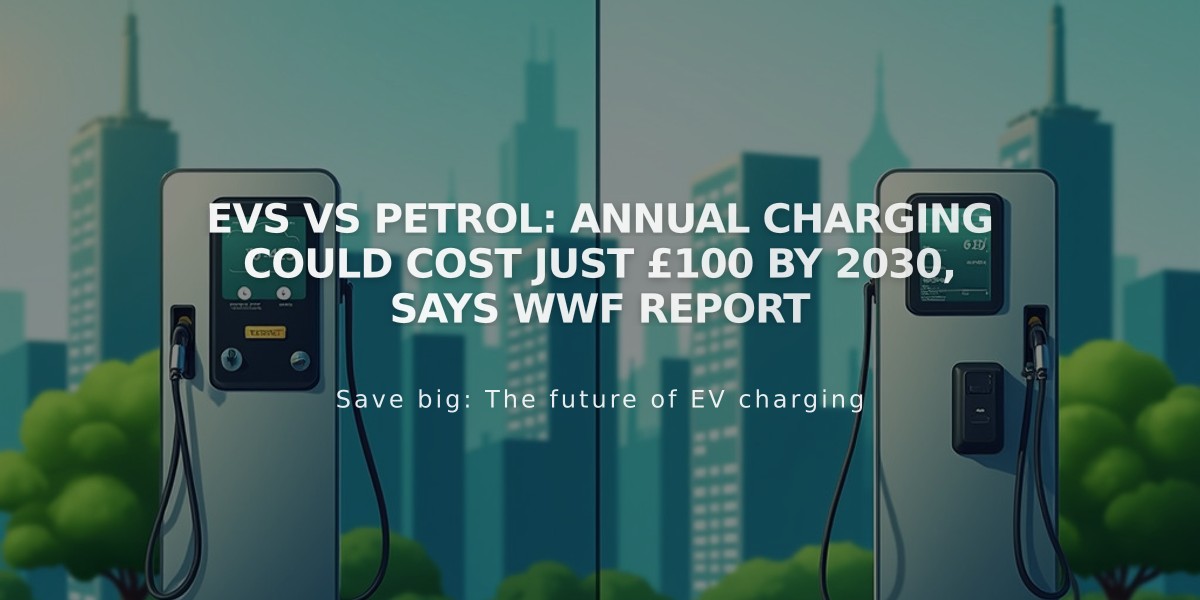 EVs vs Petrol: Annual Charging Could Cost Just £100 by 2030, Says WWF Report