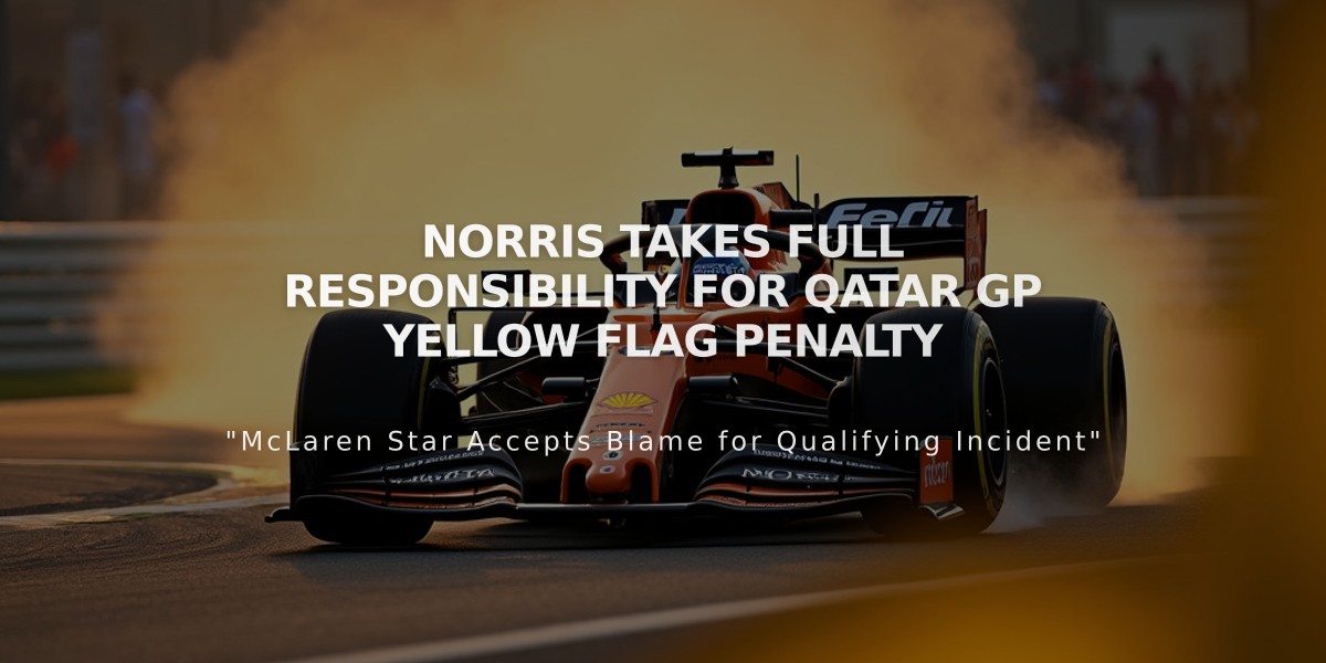 Norris Takes Full Responsibility for Qatar GP Yellow Flag Penalty