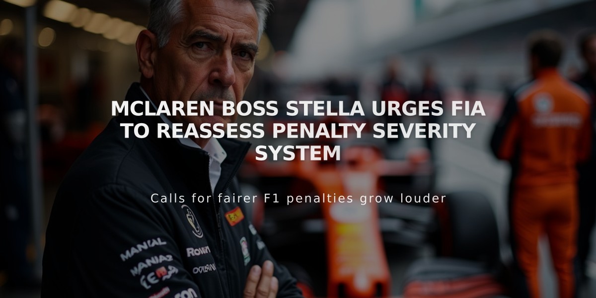 McLaren boss Stella urges FIA to reassess penalty severity system