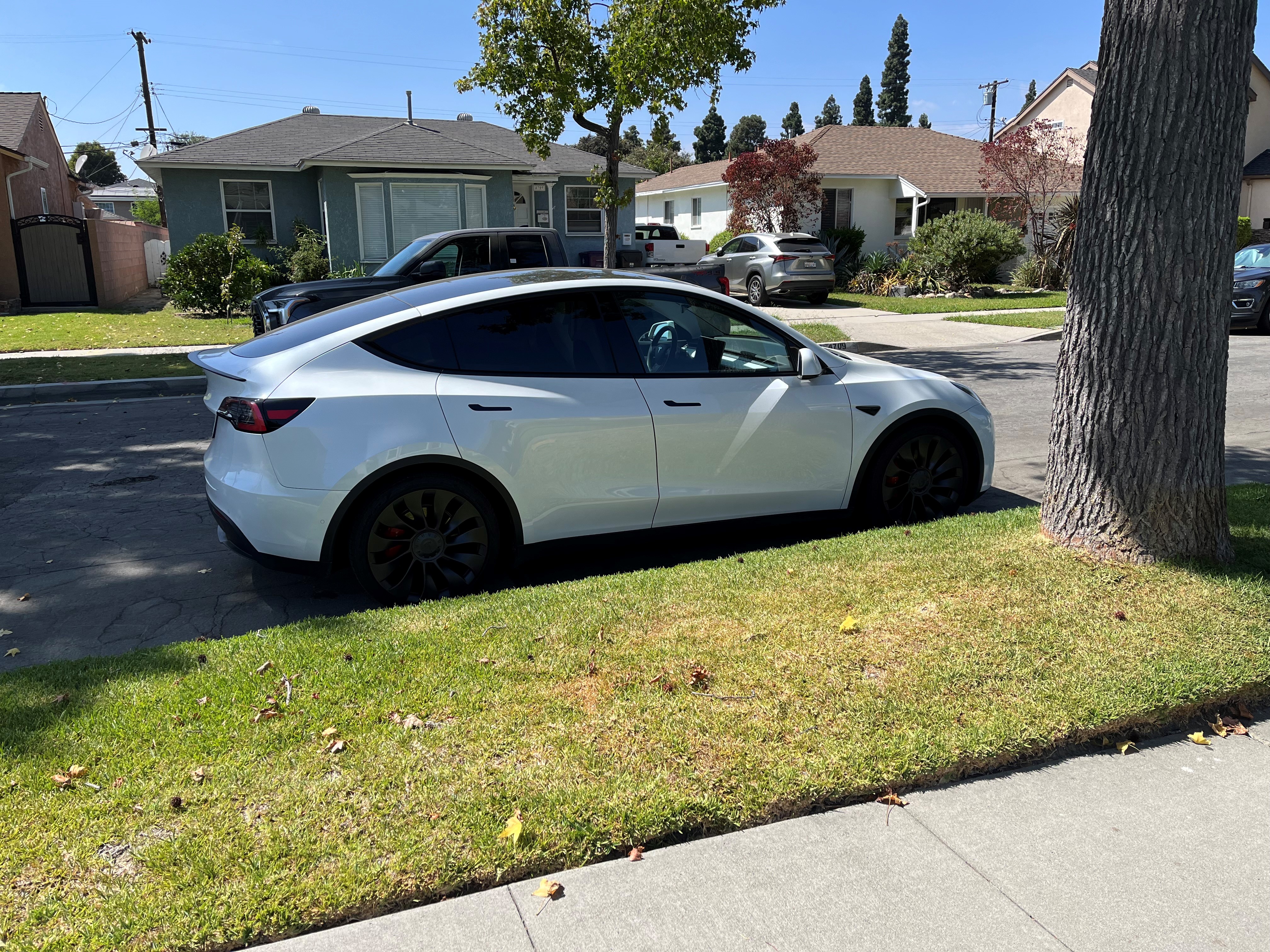 White Tesla parked on residential street