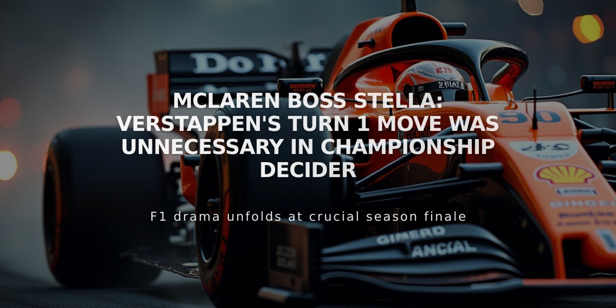 McLaren Boss Stella: Verstappen's Turn 1 Move Was Unnecessary in Championship Decider