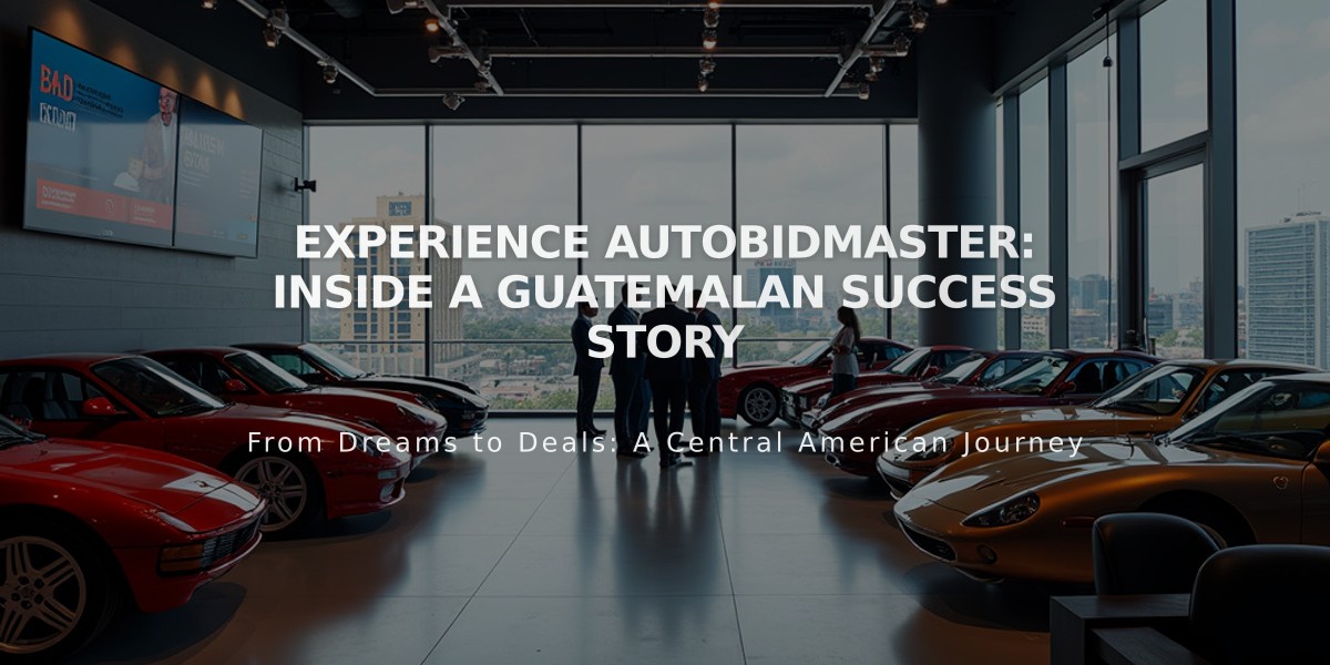 Experience AutoBidMaster: Inside a Guatemalan Success Story