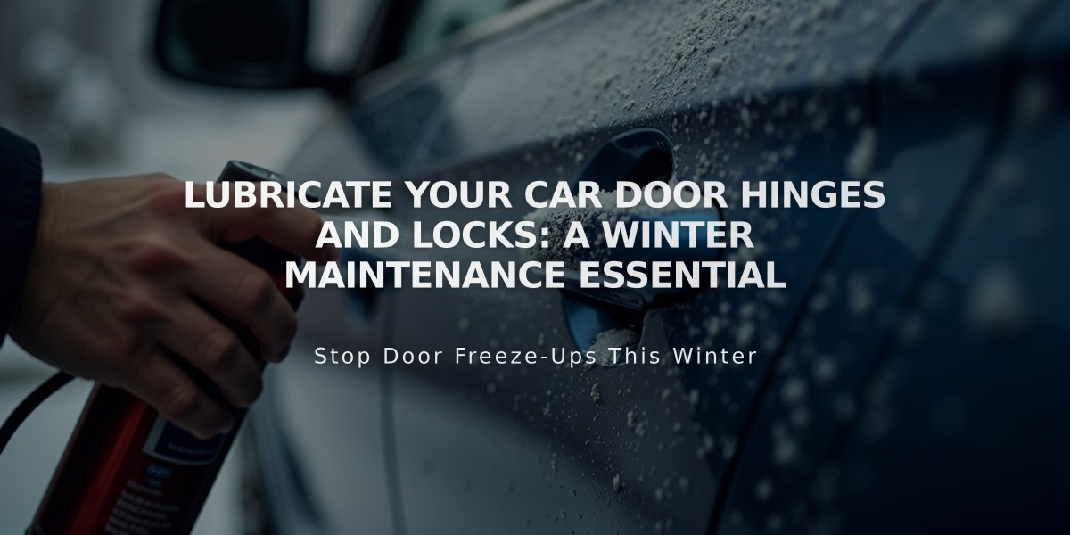 Lubricate Your Car Door Hinges and Locks: A Winter Maintenance Essential