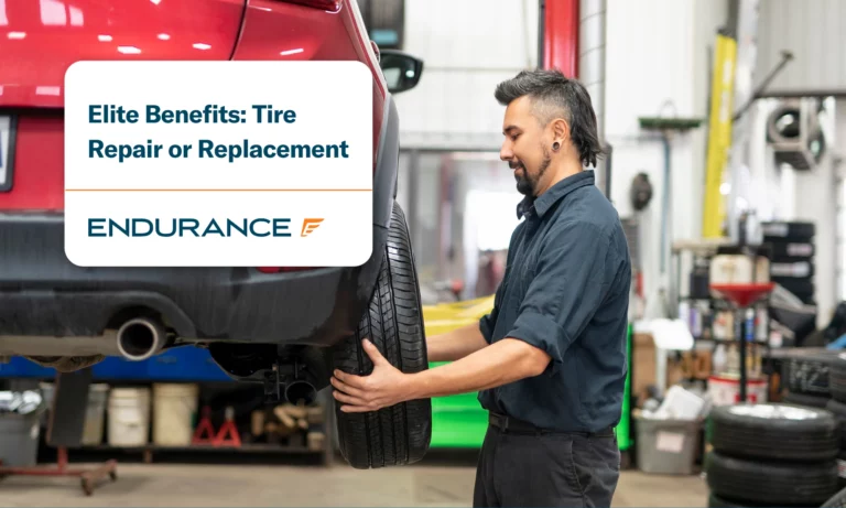 Mechanic checks tire at repair shop