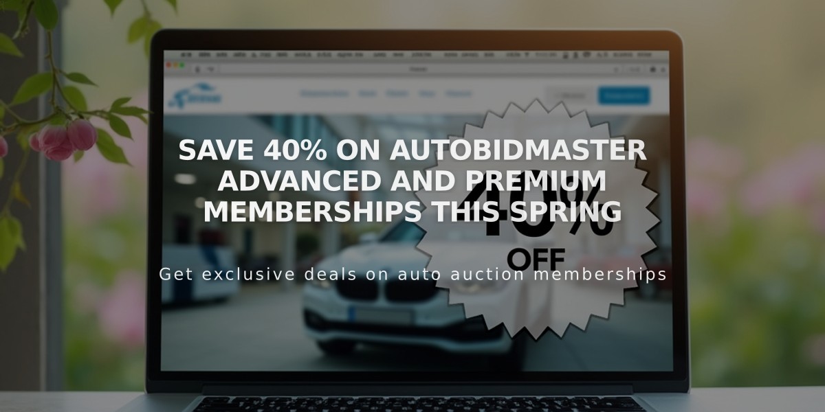 Save 40% on AutoBidMaster Advanced and Premium Memberships This Spring