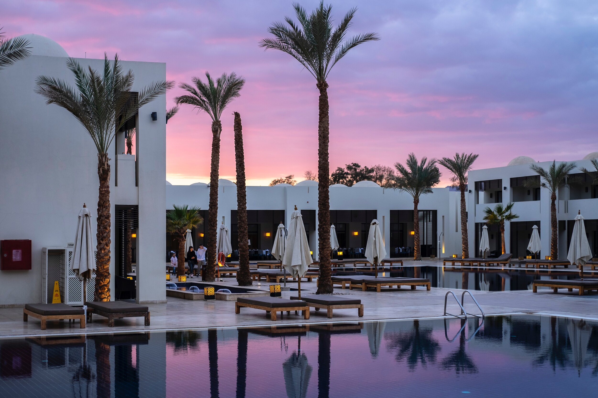 Palm trees silhouetted by sunset